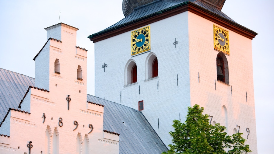Budolfi Cathedral which includes heritage architecture and a church or cathedral