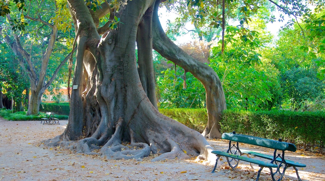 Botanische tuin bevat een park