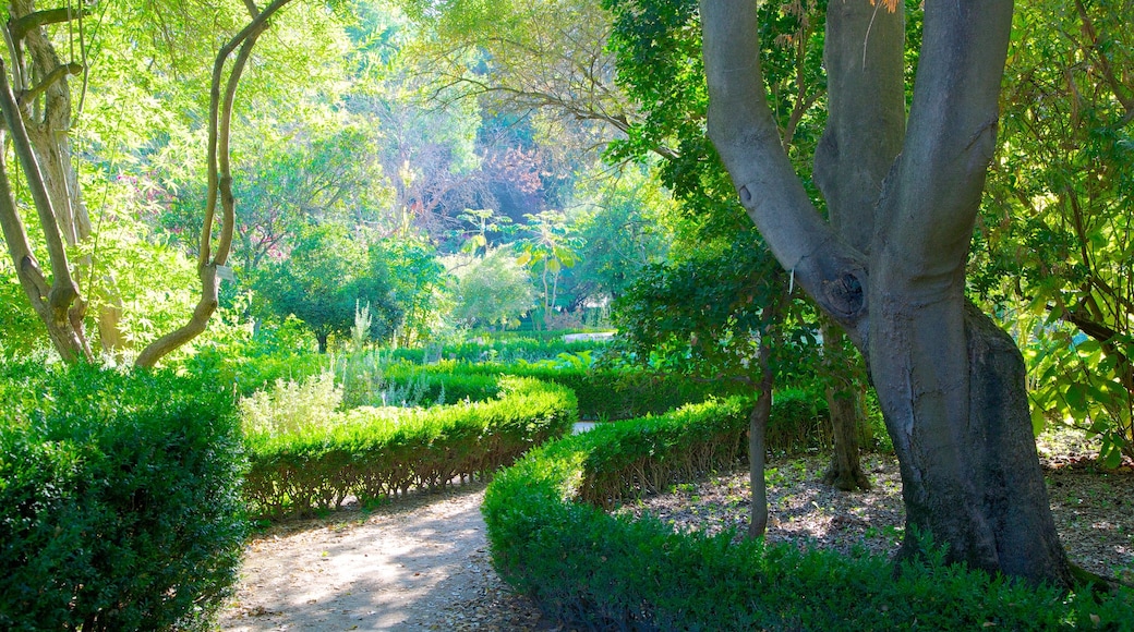 Botanischer Garten das einen Park