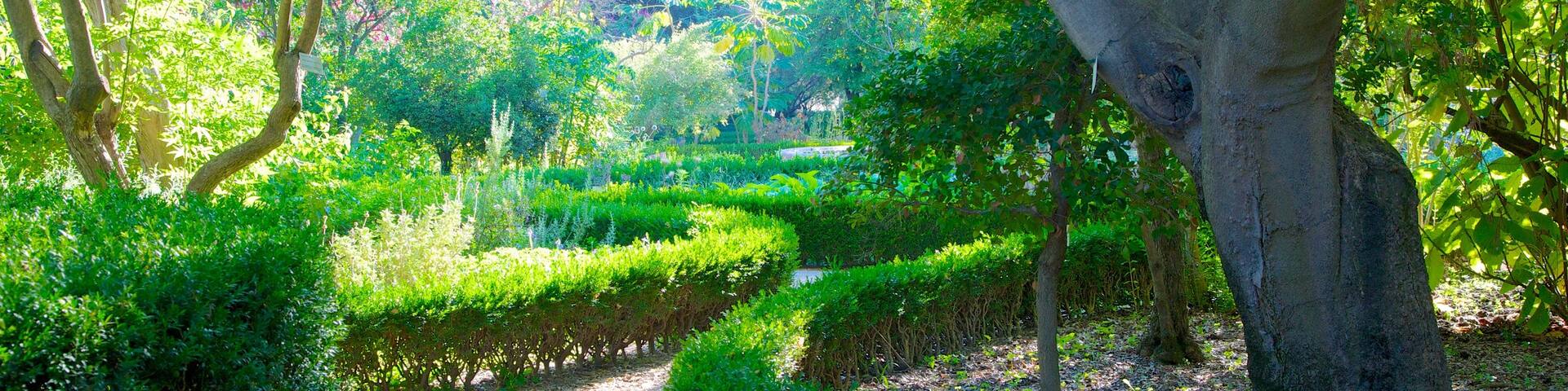 Botanical Garden which includes a park