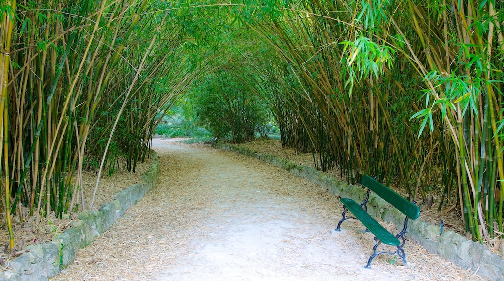 Botanische tuin bevat een park