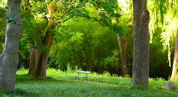 Botanische tuin bevat een park