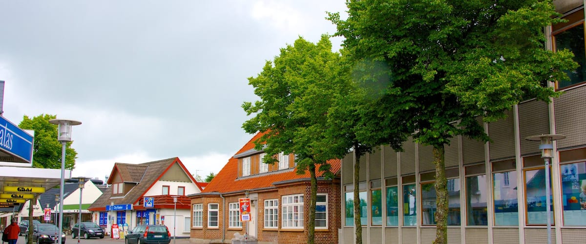 Billund featuring a small town or village and street scenes