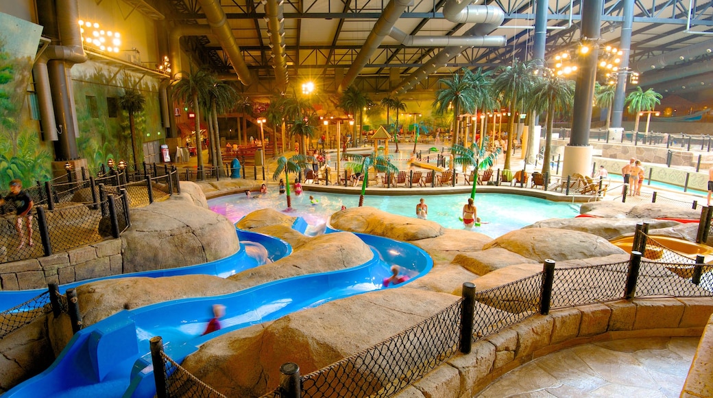 Lalandia Water Park showing interior views, a pool and a water park