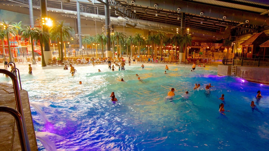 Lalandia Water Park featuring a pool, interior views and a waterpark