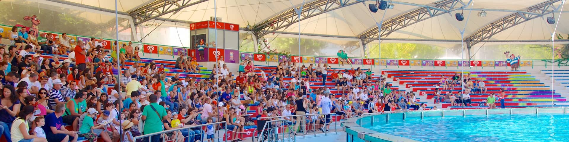 Lisbon Zoo which includes zoo animals as well as a large group of people