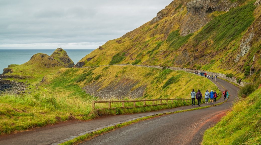 Giant\'s Causeway which includes hiking or walking and tranquil scenes as well as a small group of people