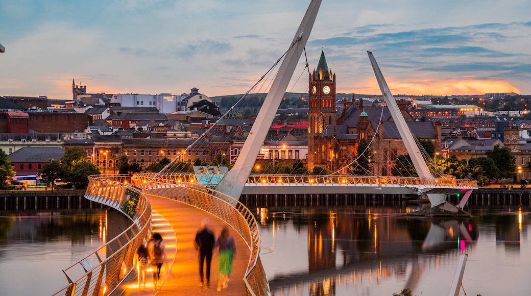 Peace Bridge which includes a river or creek, a bridge and night scenes