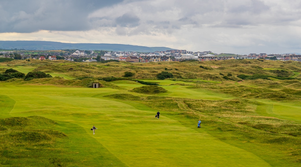 Bushmills which includes golf and landscape views