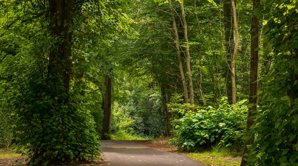 St. Columb's Park