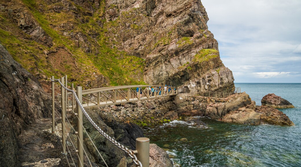 The Gobbins