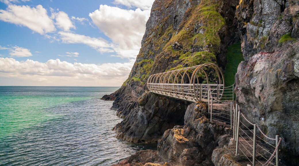 The Gobbins