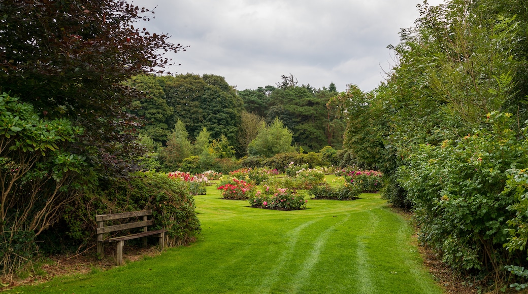 Sir Thomas and Lady Dixon Park