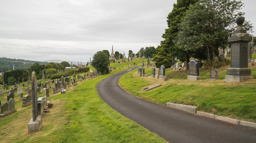 City Cemetery featuring a cemetery