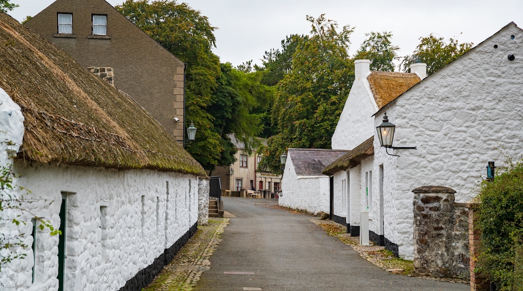 พิพิธภัณฑ์การขนส่งและพื้นบ้าน Ulster