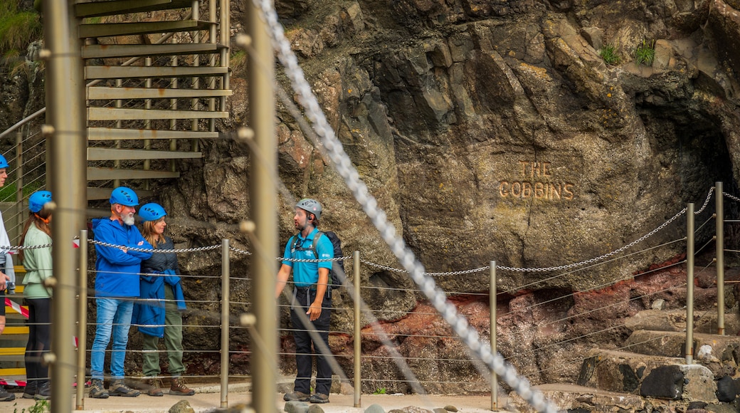 The Gobbins