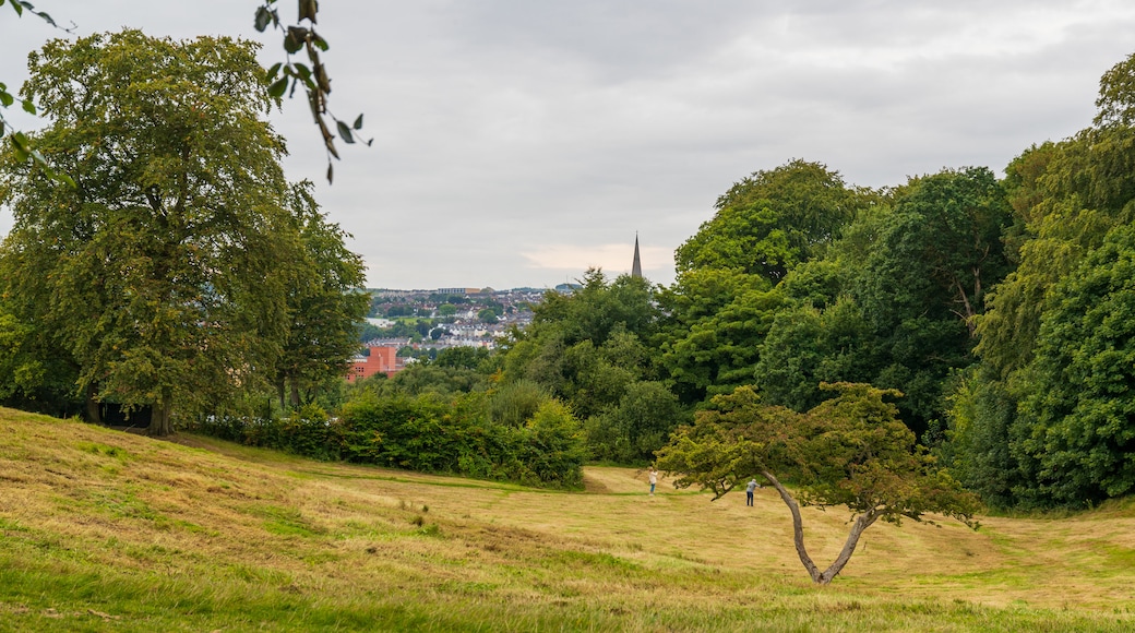 St. Columb's Park