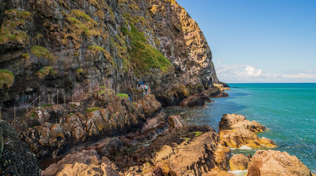 The Gobbins