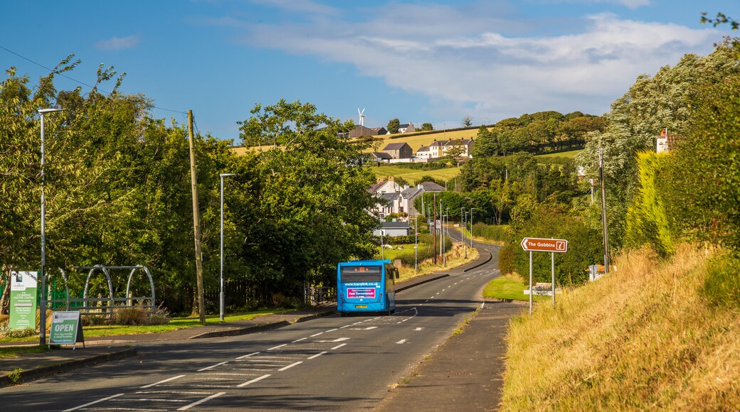 Ballystrudder showing tranquil scenes and a small town or village