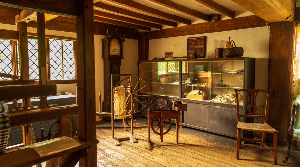 Ipswich Museum showing heritage elements and interior views