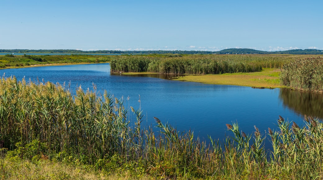 Parker River National Wildlife Refuge featuring wetlands and a river or creek