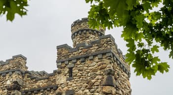 Bancroft Tower featuring heritage elements