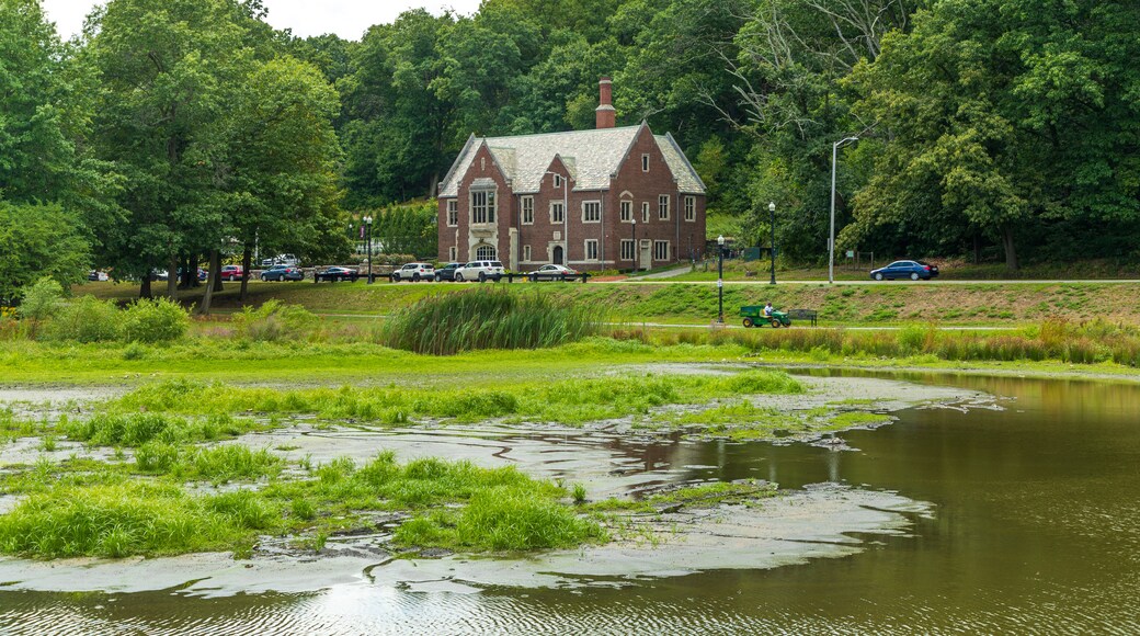 Elm Park showing a house and a river or creek