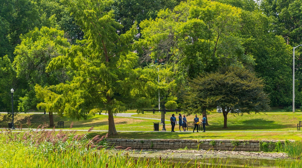 Elm Park which includes a pond and a park as well as a small group of people