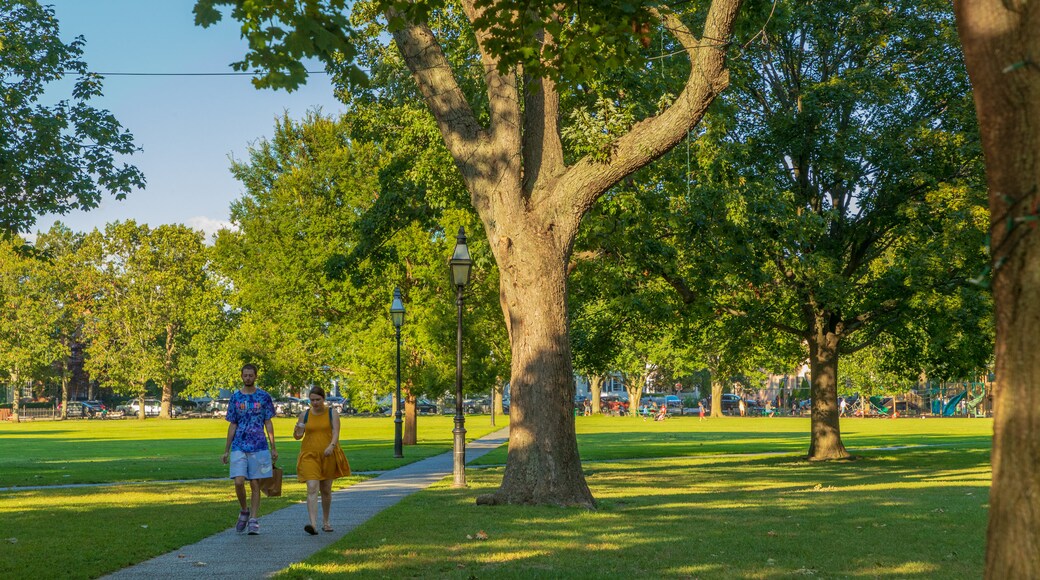 Salem Common