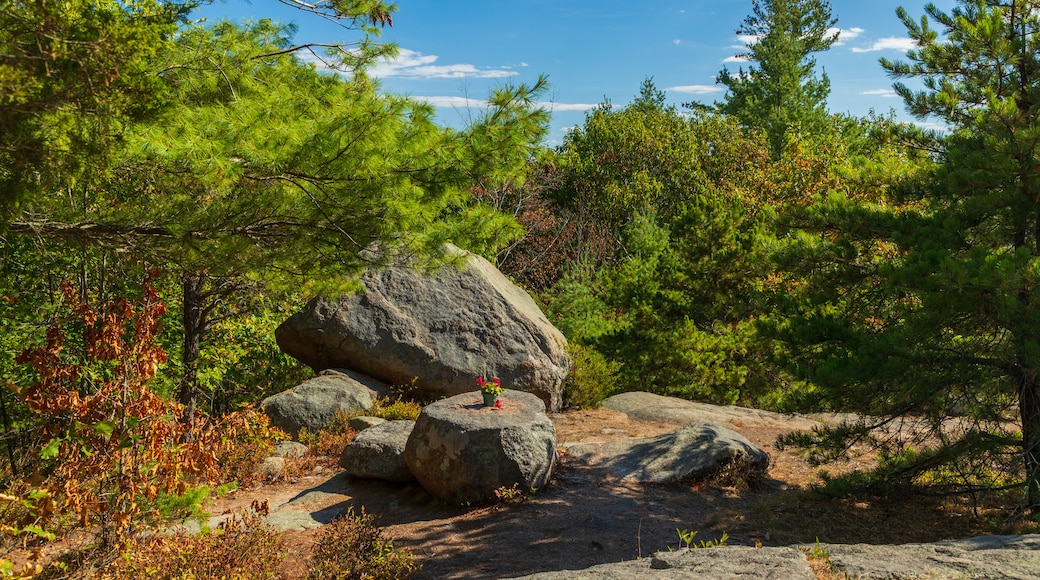 Agassiz Rock