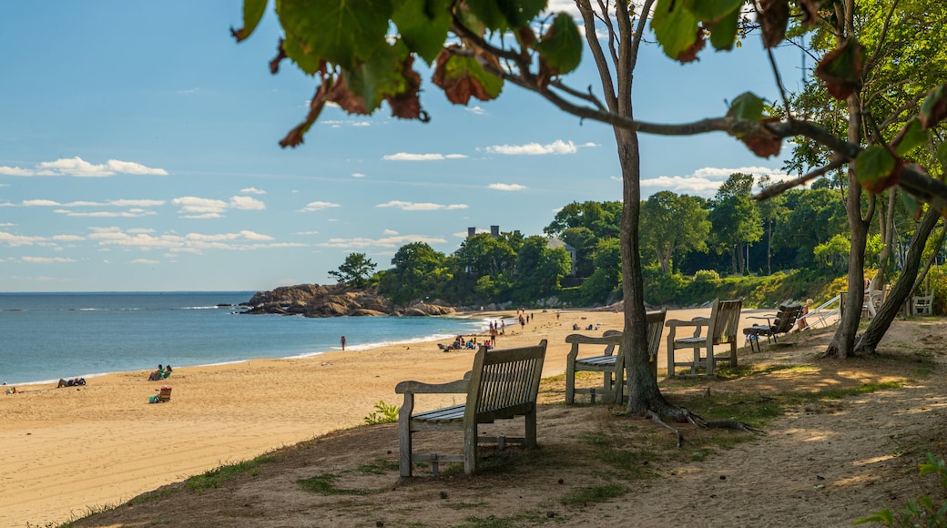 Singing Beach featuring general coastal views and a sandy beach