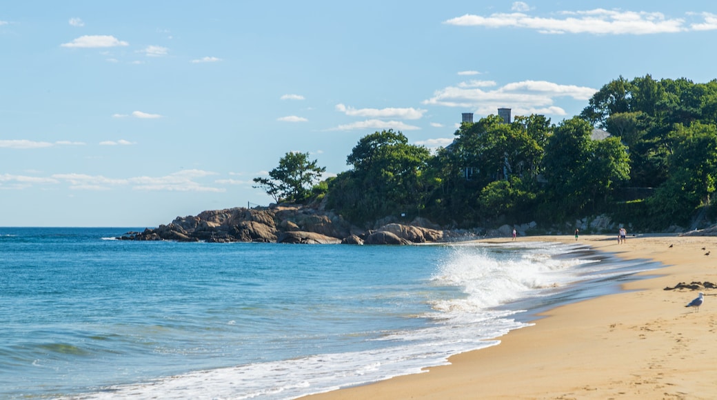 Singing Beach showing a beach and general coastal views