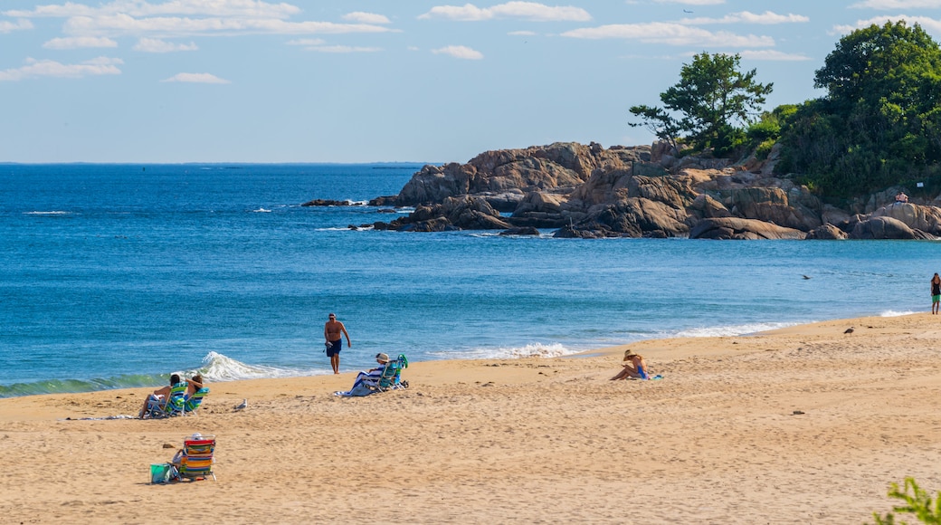 Singing Beach which includes general coastal views and a sandy beach