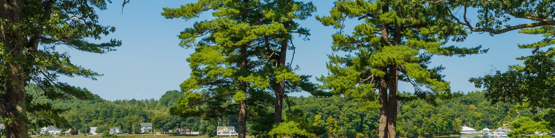Maudslay State Park showing a lake or waterhole