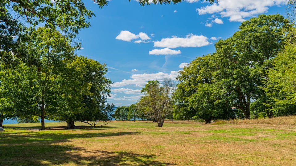 Coolidge Reservation which includes a park