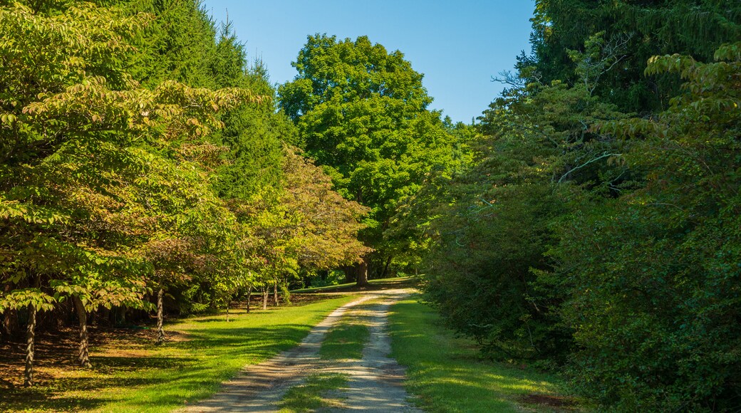 Maudslay State Park