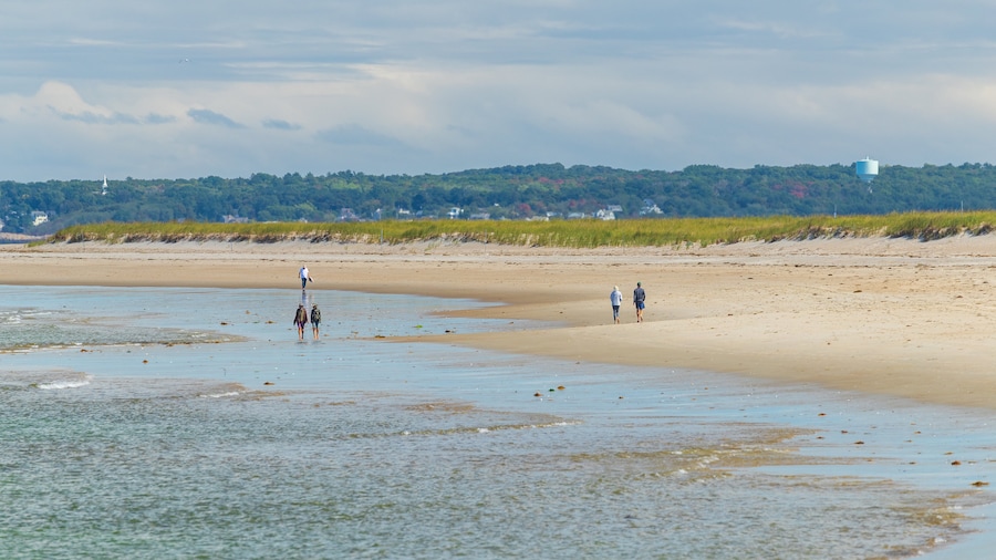 Crane Beach showing general coastal views and a sandy beach