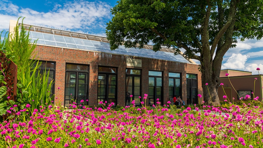 Tower Hill Botanic Garden