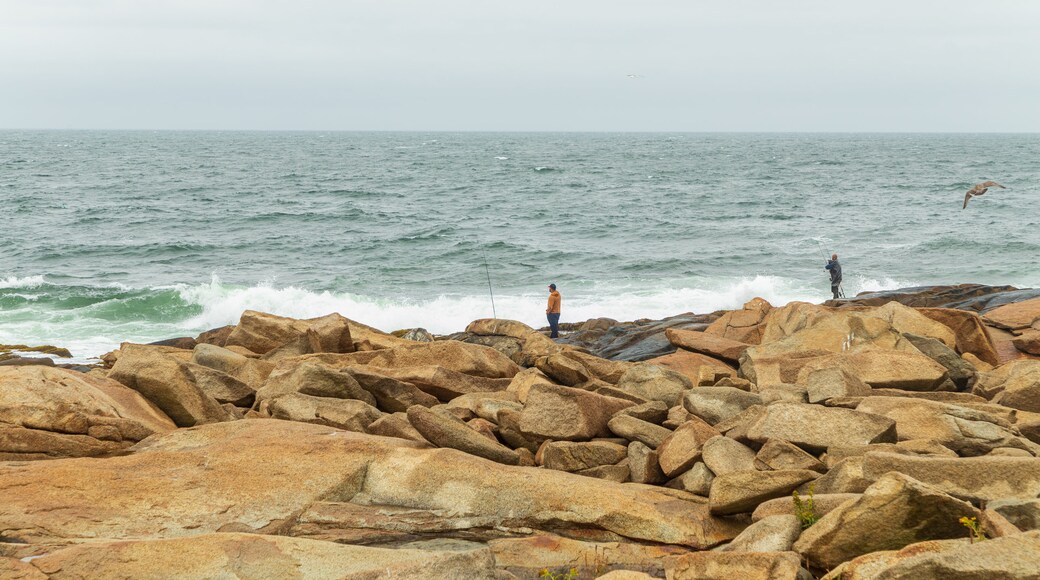 Halibut Point State Park showing fishing and general coastal views