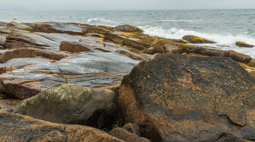 Halibut Point State Park which includes rugged coastline