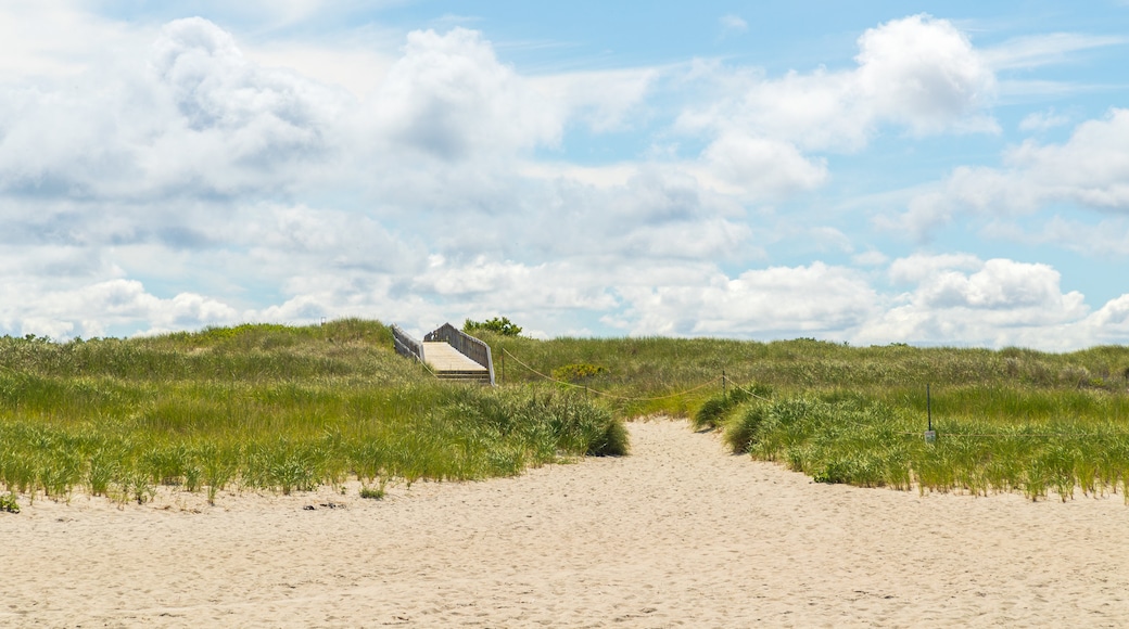 Crane Beach showing a sandy beach