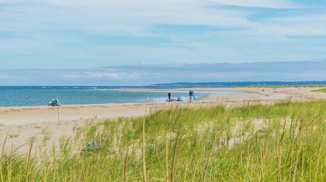 Crane Beach featuring a beach and general coastal views