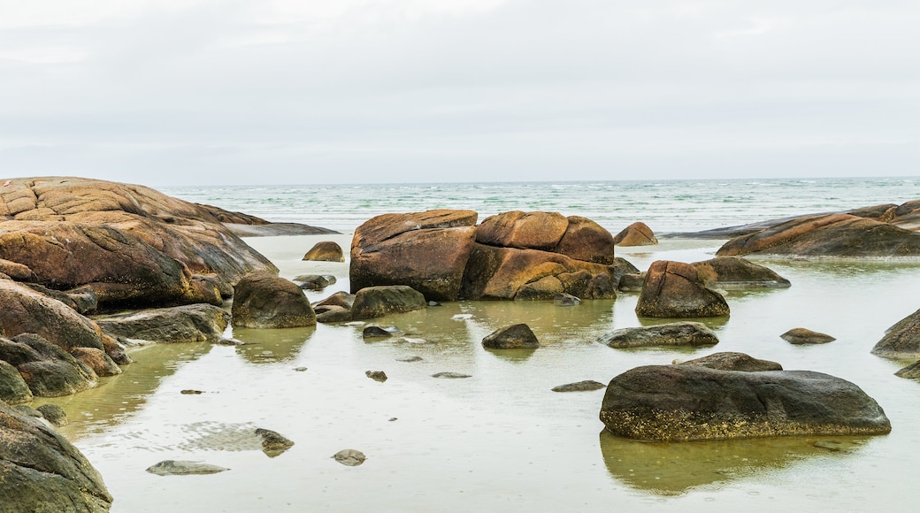 Wingaersheek Beach