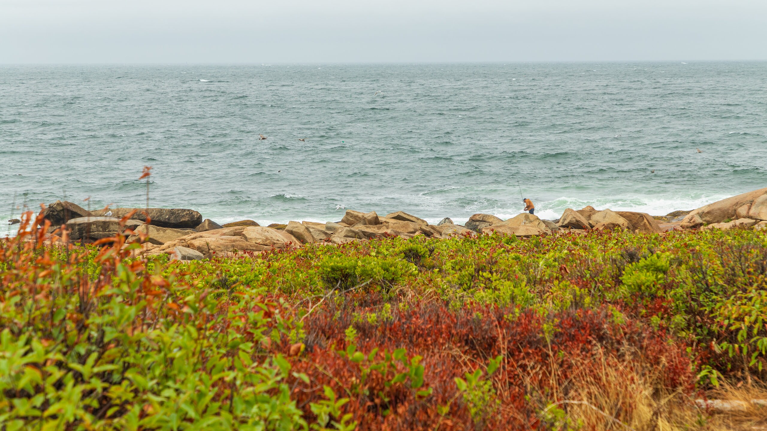 Halibut Point State Park, Rockport holiday holiday