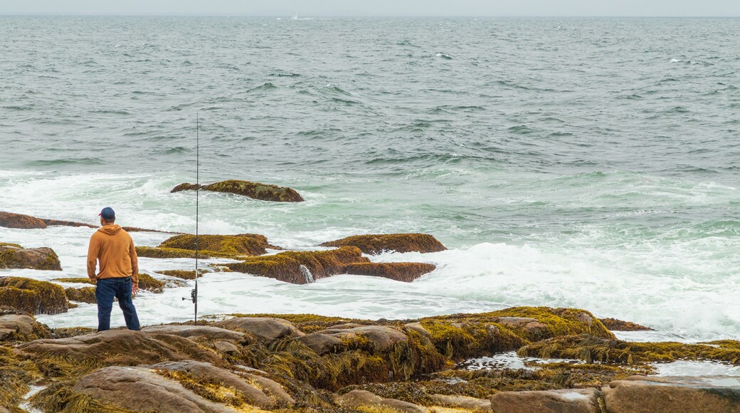 Halibut Point State Park featuring rugged coastline, general coastal views and fishing