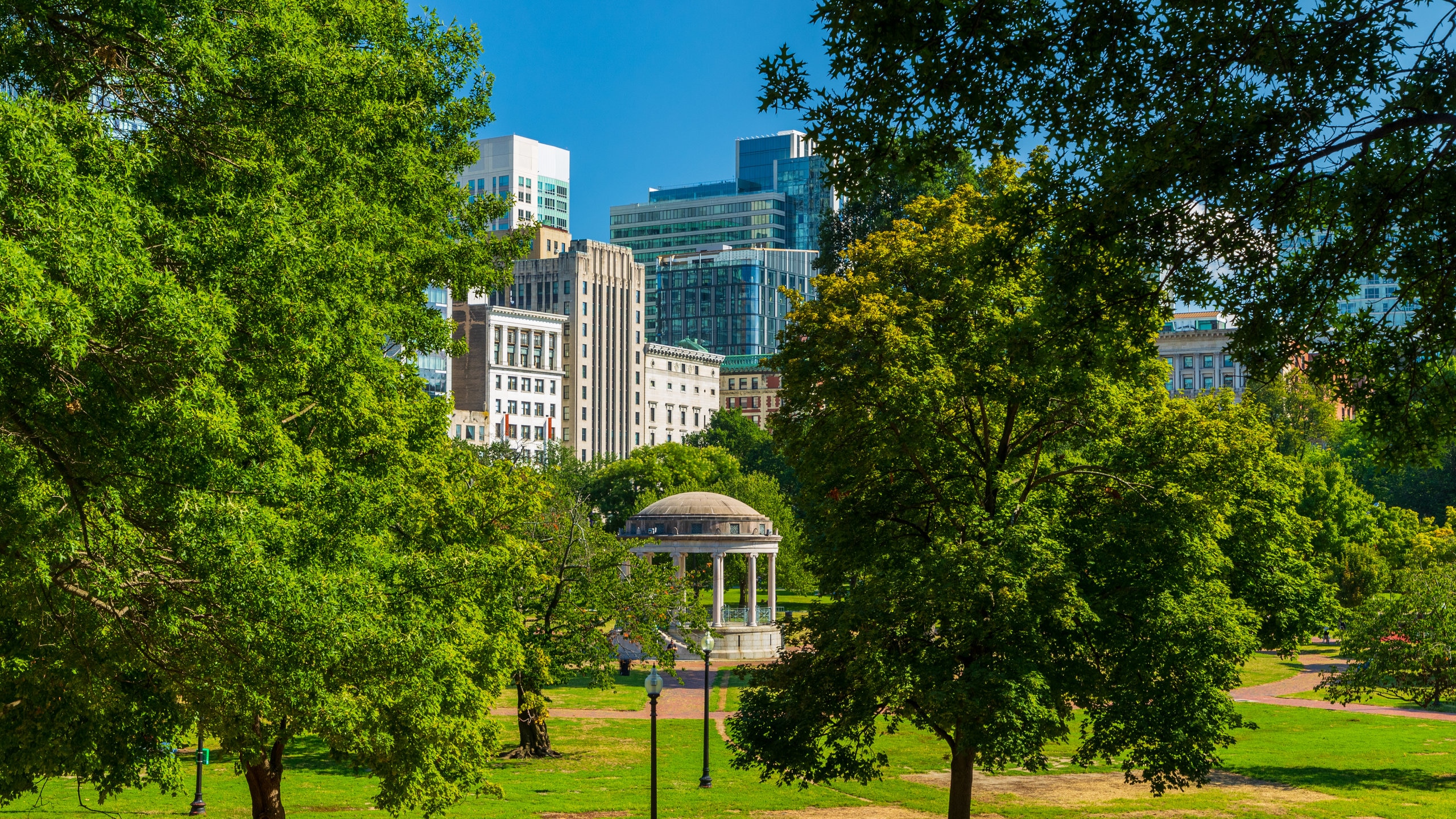 What To Do At Beacon Hill?, Harvard Gardens