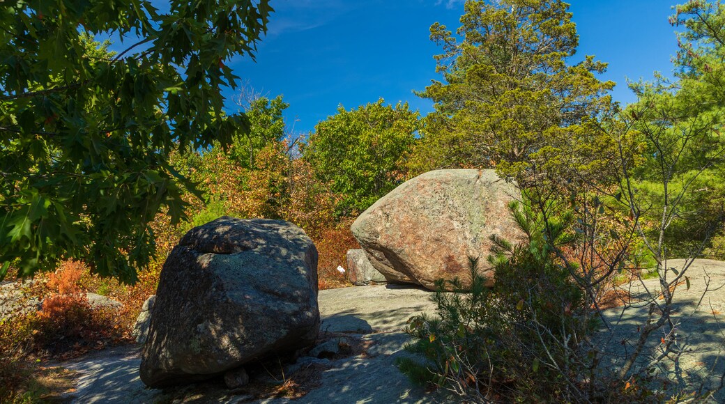 Agassiz Rock