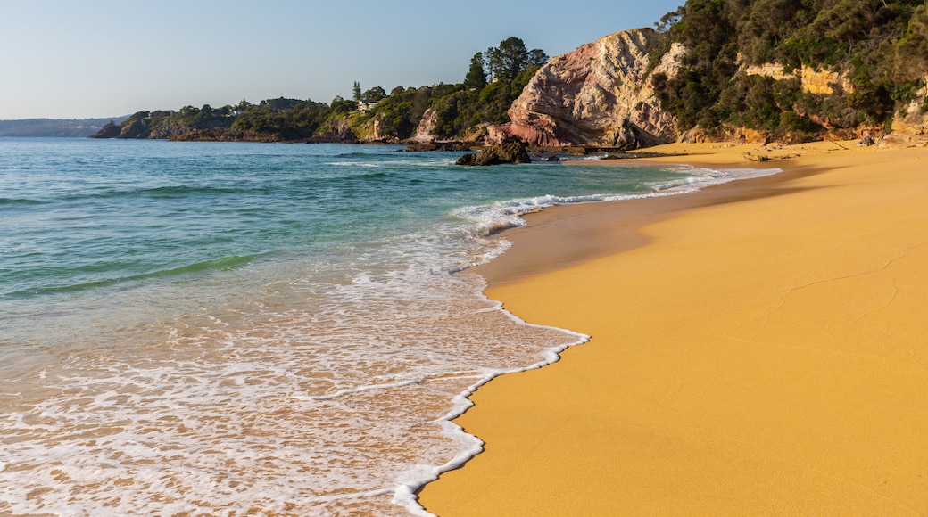 Playa de Aslings