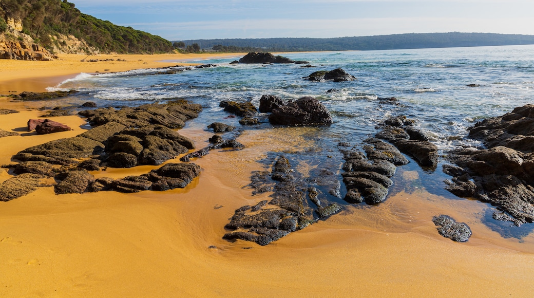 Aslings Beach which includes rugged coastline, general coastal views and a sandy beach