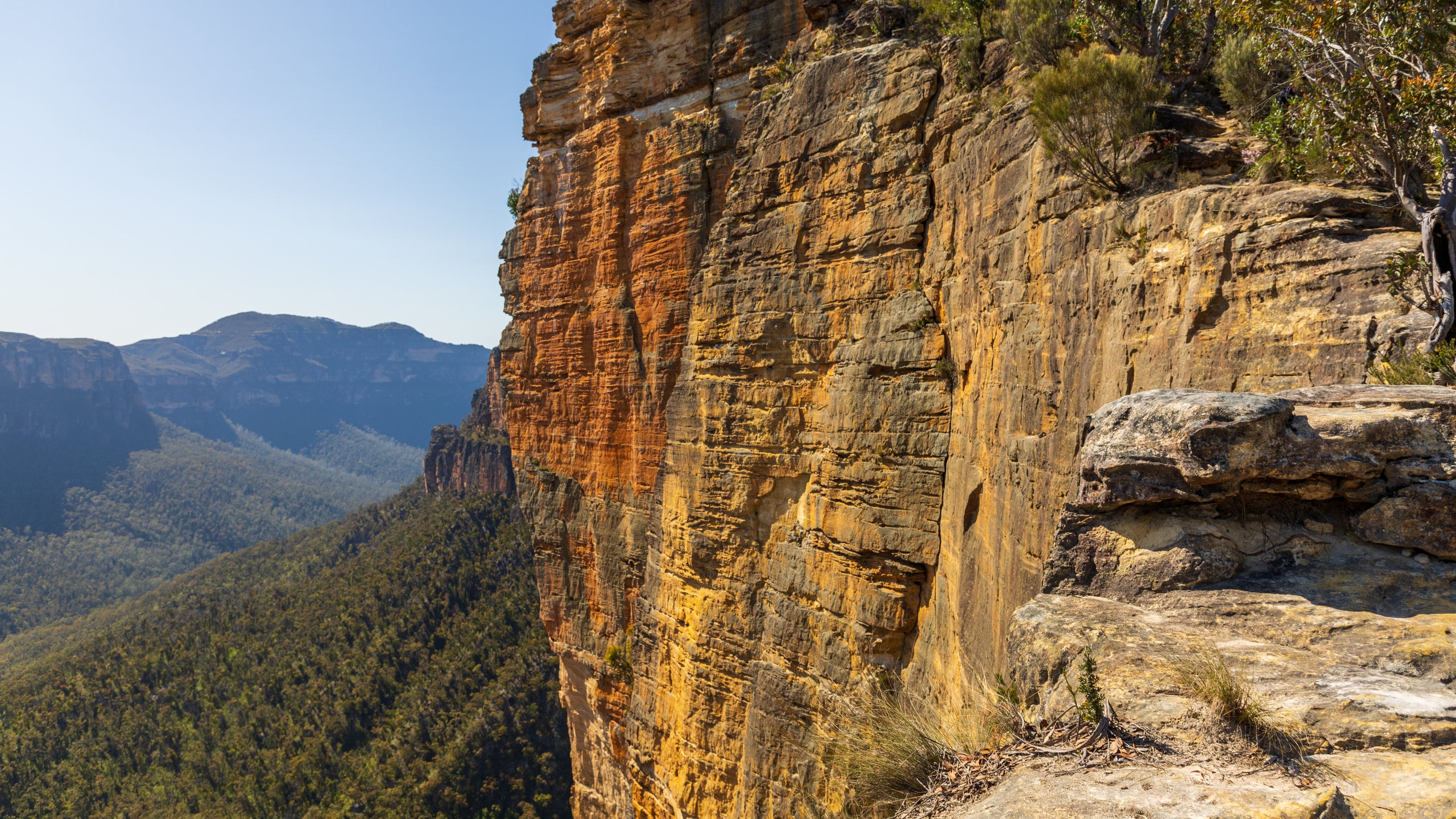 10 TOP Things to Do in Blackheath July 2024 Expedia